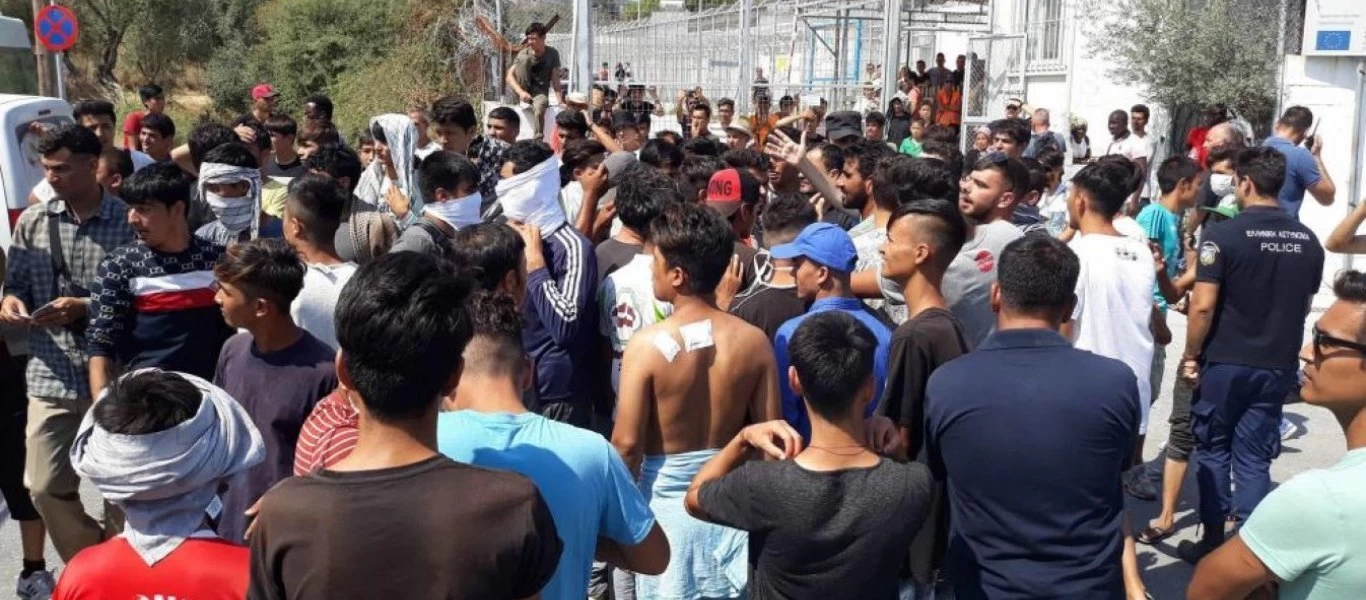 Βίντεο: Παράνομοι μετανάστες κλέβουν τα πρόβατα των κατοίκων στην Μόρια - Τα σφάζουν και τα πουλάνε!